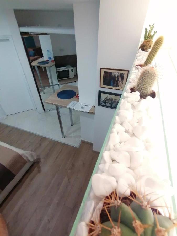 Apartman Dunja S Beograd Eksteriør billede